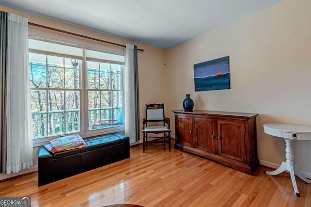 32 N Muscogee Dr, Ellijay, GA 30540 - sitting room with light wood finished floors and baseboards