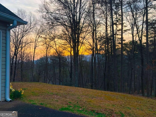 32 N Muscogee Dr, Ellijay, GA 30540 - view of yard at dusk