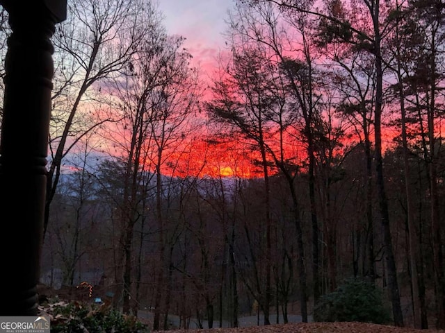 32 N Muscogee Dr, Ellijay, GA 30540 - mountain view featuring a forest