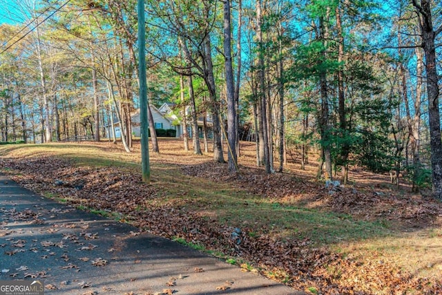 32 N Muscogee Dr, Ellijay, GA 30540 - view of yard
