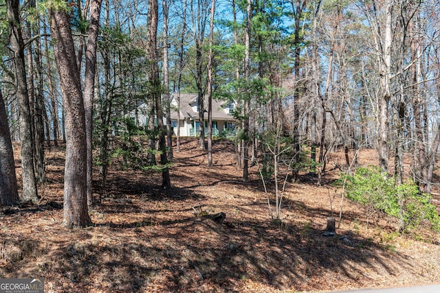 32 N Muscogee Dr, Ellijay, GA 30540 - view of yard