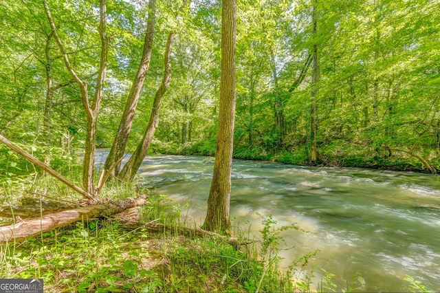 4441 Manning Mill Rd, Summerville, GA 30747 - view of yard