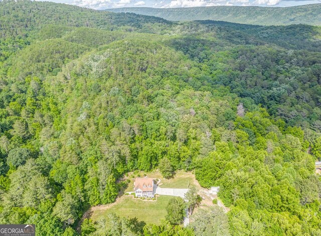 4441 Manning Mill Rd, Summerville, GA 30747 - aerial overview of property's location featuring a forest and a mountainous background