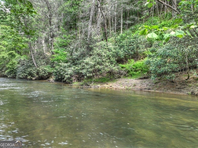 LT56 Riverbend Trl, Ellijay, GA 30540