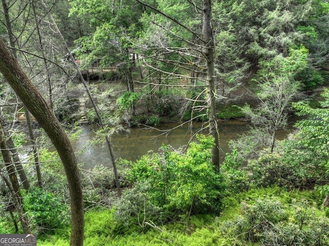 LT56 Riverbend Trl, Ellijay, GA 30540