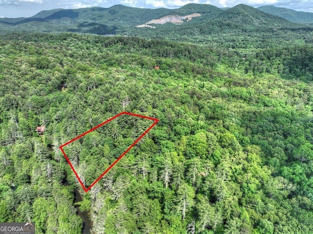 LT56 Riverbend Trl, Ellijay, GA 30540