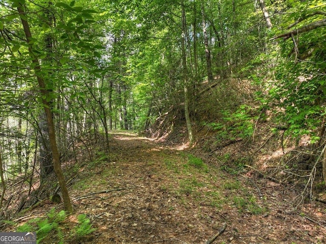 LT56 Riverbend Trl, Ellijay, GA 30540