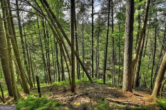 LT56 Riverbend Trl, Ellijay, GA 30540