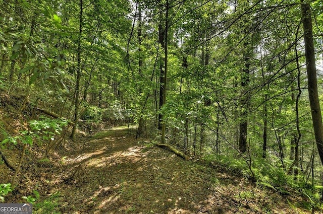 LT56 Riverbend Trl, Ellijay, GA 30540