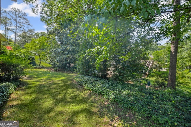 24 Brookside Dr, Newnan, GA 30263 - view of green lawn