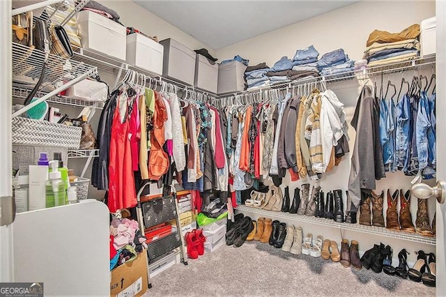 413 Huntleigh Shores Ln, Dallas, GA 30132 - spacious closet featuring carpet