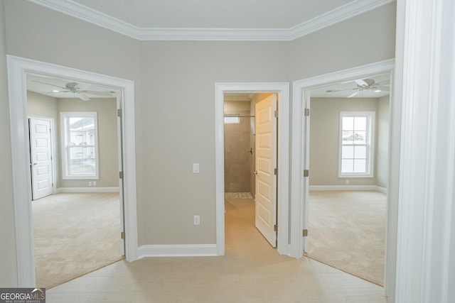 215 Jake Colton Dr, Kingsland, GA 31548 - hall with light carpet, ornamental molding, and baseboards