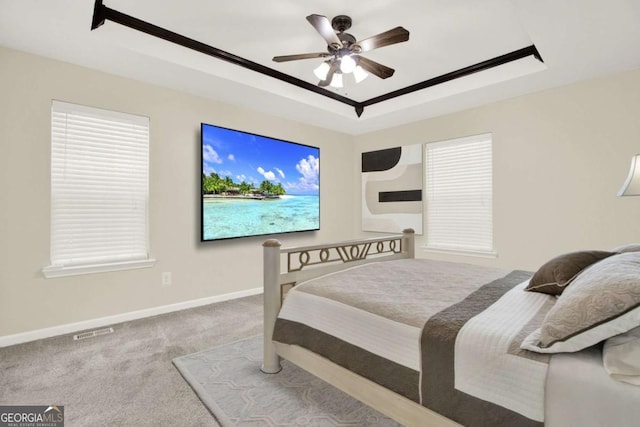 405 Scenic View Dr, Jasper, GA 30143 - bedroom featuring a raised ceiling, carpet floors, baseboards, and a ceiling fan