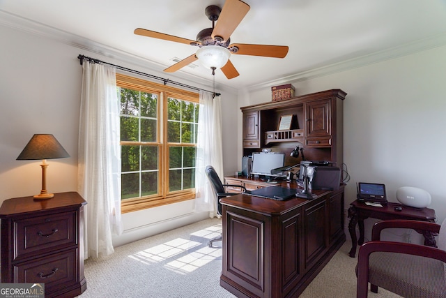4320 Sandy Creek Rd, Madison, GA 30650 - office space featuring ornamental molding, light carpet, and a ceiling fan