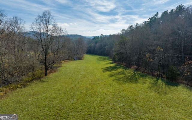 228 Holly Branch Dr, Ellijay, GA 30540