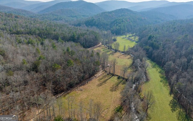 228 Holly Branch Dr, Ellijay, GA 30540