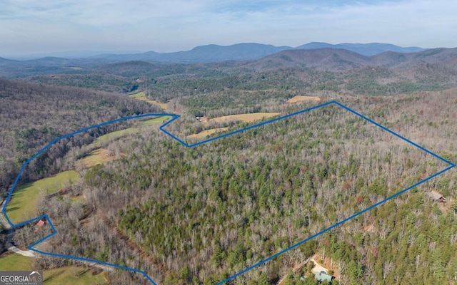 228 Holly Branch Dr, Ellijay, GA 30540