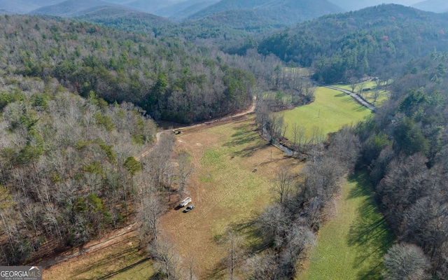 228 Holly Branch Dr, Ellijay, GA 30540