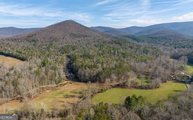 228 Holly Branch Dr, Ellijay, GA 30540