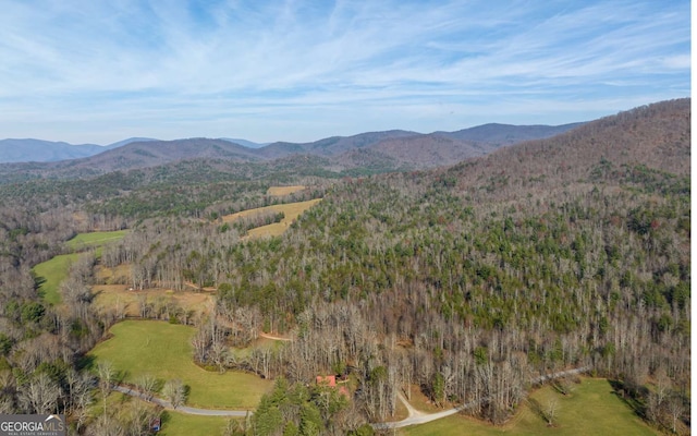 228 Holly Branch Dr, Ellijay, GA 30540