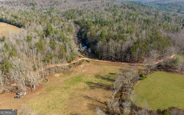228 Holly Branch Dr, Ellijay, GA 30540
