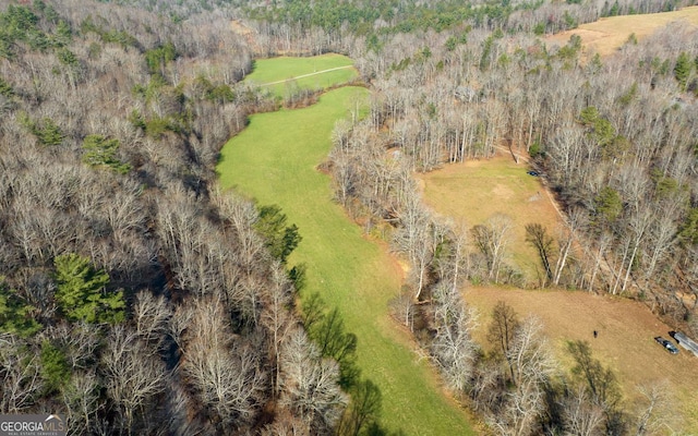 228 Holly Branch Dr, Ellijay, GA 30540