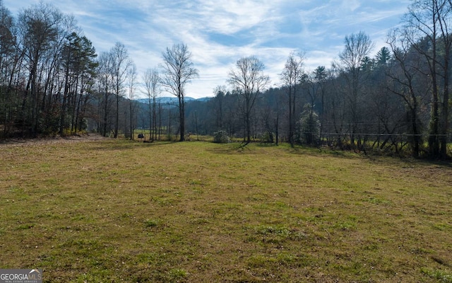 228 Holly Branch Dr, Ellijay, GA 30540
