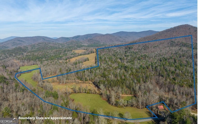 228 Holly Branch Dr, Ellijay, GA 30540