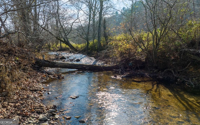 228 Holly Branch Dr, Ellijay, GA 30540
