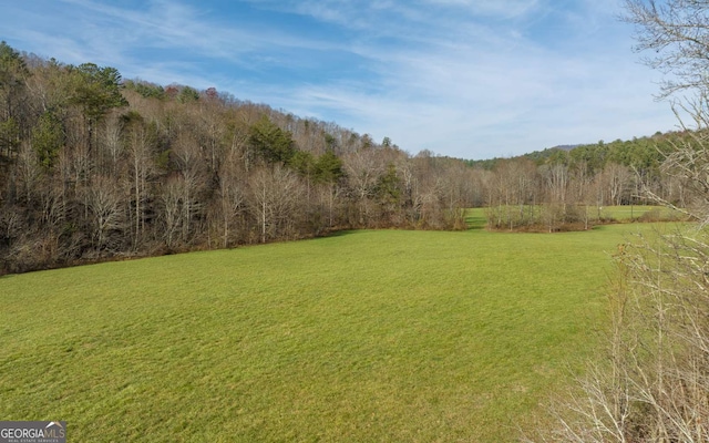 228 Holly Branch Dr, Ellijay, GA 30540