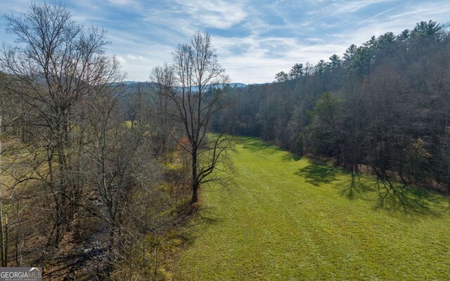228 Holly Branch Dr, Ellijay, GA 30540