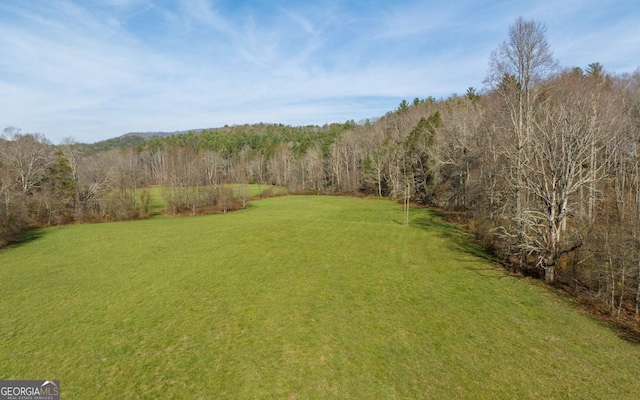228 Holly Branch Dr, Ellijay, GA 30540