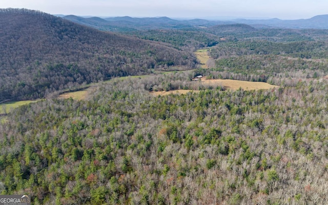 228 Holly Branch Dr, Ellijay, GA 30540