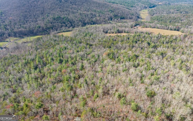 228 Holly Branch Dr, Ellijay, GA 30540