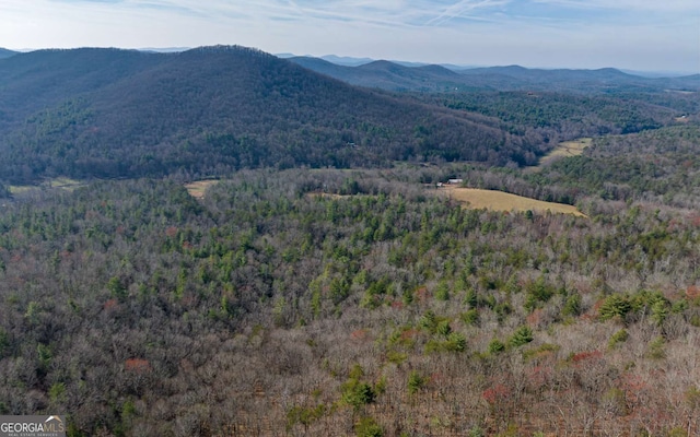 228 Holly Branch Dr, Ellijay, GA 30540