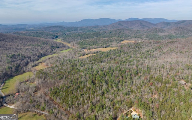 228 Holly Branch Dr, Ellijay, GA 30540