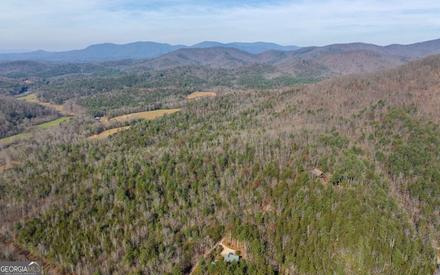 228 Holly Branch Dr, Ellijay, GA 30540