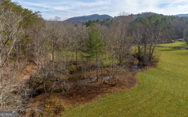 228 Holly Branch Dr, Ellijay, GA 30540