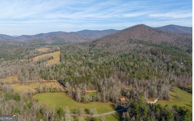 228 Holly Branch Dr, Ellijay, GA 30540