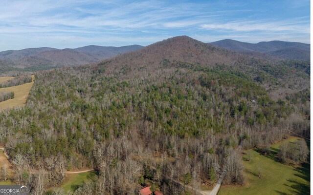 228 Holly Branch Dr, Ellijay, GA 30540