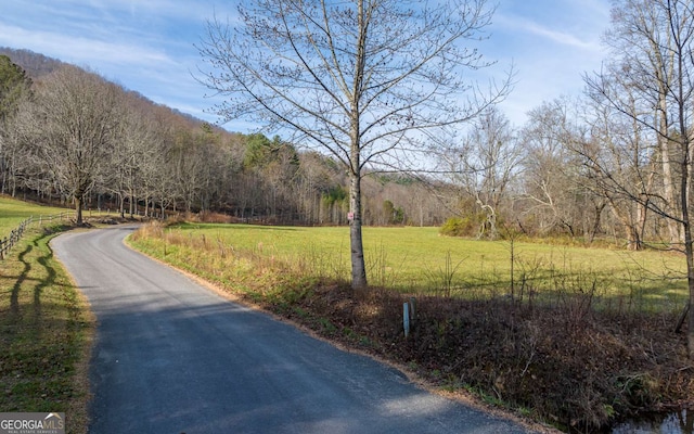 228 Holly Branch Dr, Ellijay, GA 30540