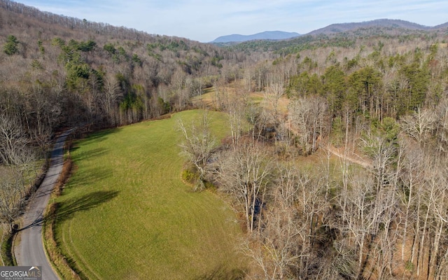 228 Holly Branch Dr, Ellijay, GA 30540
