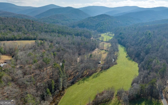 228 Holly Branch Dr, Ellijay, GA 30540