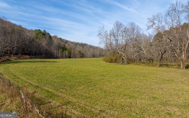 228 Holly Branch Dr, Ellijay, GA 30540
