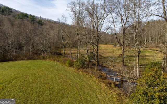 228 Holly Branch Dr, Ellijay, GA 30540
