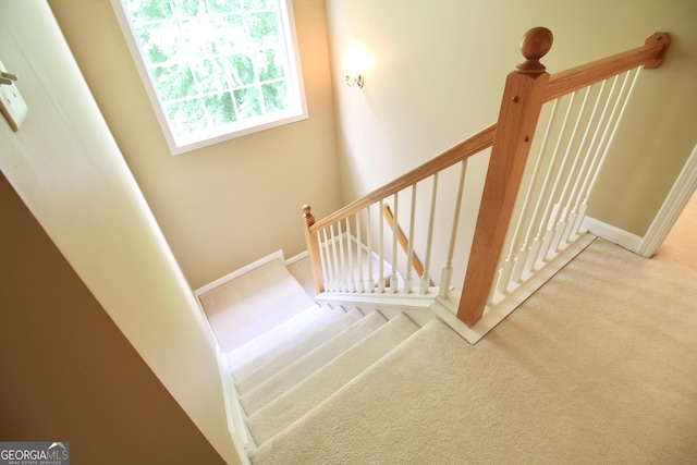 318 Ivy Manor Dr, Marietta, GA 30064 - stairway with carpet and baseboards