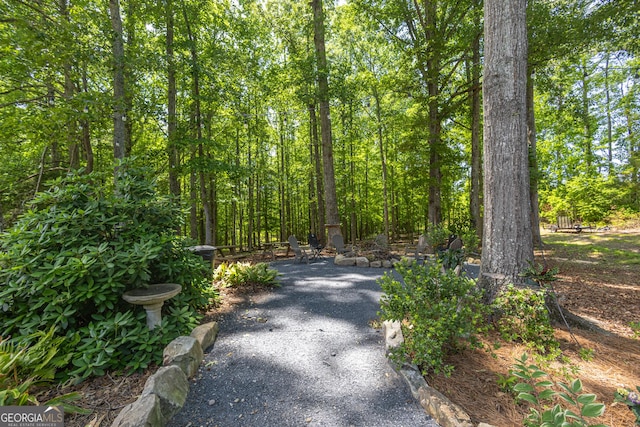 912 Folds Rd, Carrollton, GA 30116 - view of street