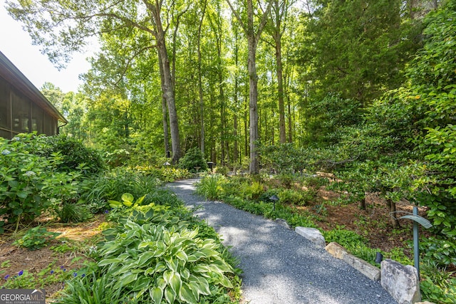 912 Folds Rd, Carrollton, GA 30116 - view of yard