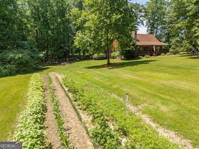 912 Folds Rd, Carrollton, GA 30116 - view of green lawn