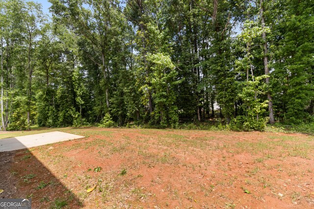 215 Davis Lake Ct Lot 2, Thomaston, GA 30286 - view of yard